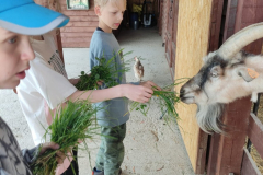 IMG-20230529-WA0053