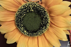 Slonecznik-i-plakietka-projektu