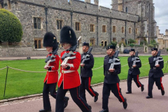 15.-WINDSOR.-Zmiana-warty