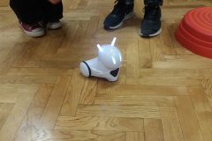 Robot